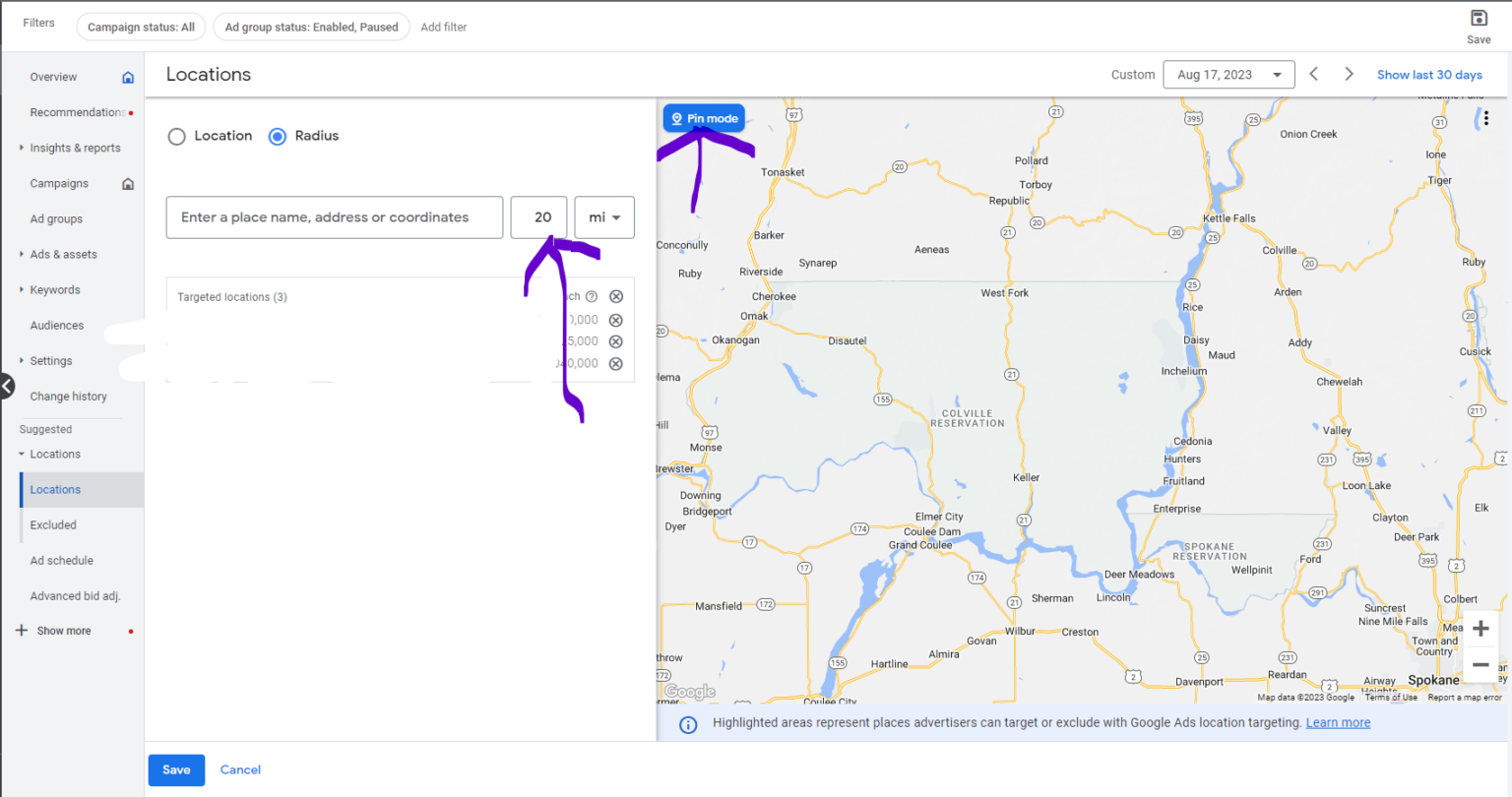 Google Ads Location Pinmode